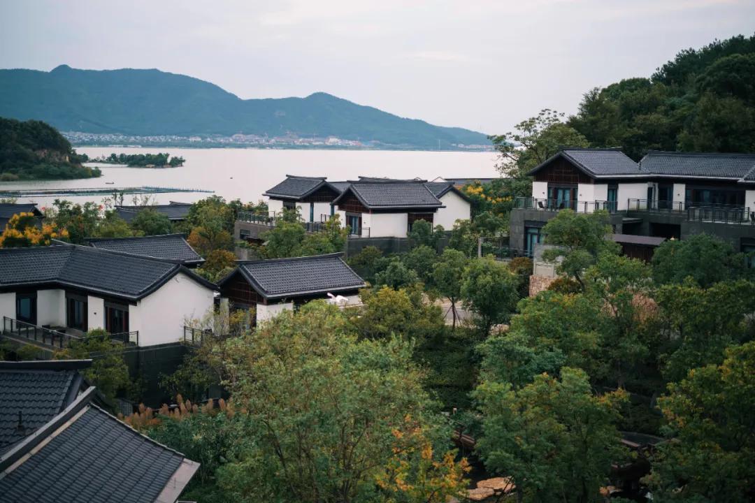 这该死的魅力原版视频,这该死的魅力原版