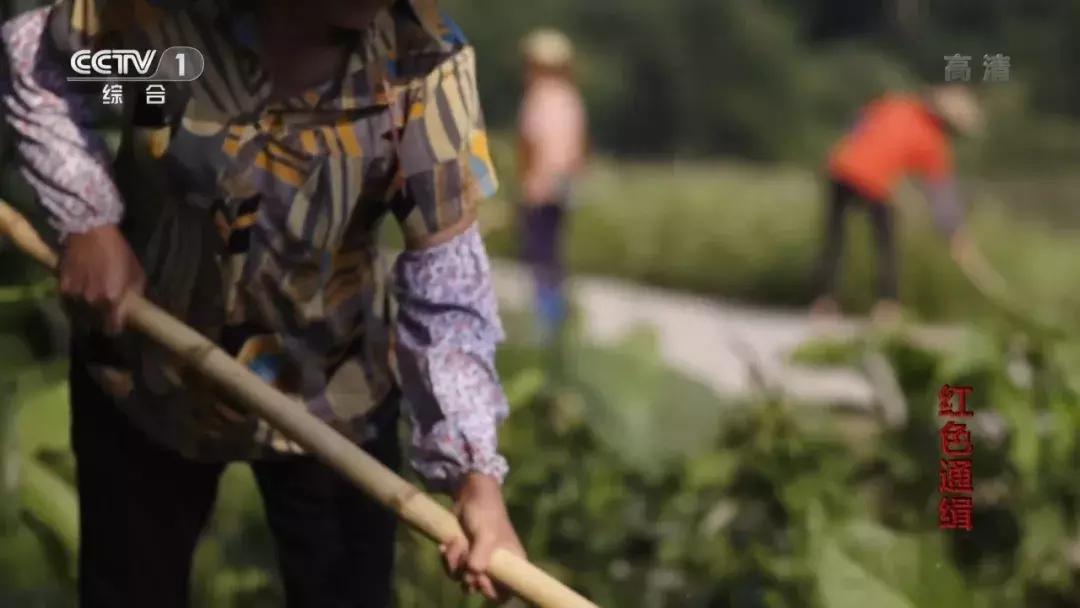 澶鎮枒鐮存绾綍鐗囨湁鍝簺,鐪熷疄鎮枒鍒戜睛妗堜欢