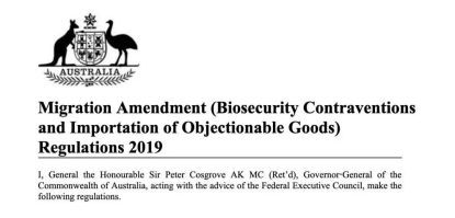 中国旅客被关小黑屋,6名中国人在澳洲被抓