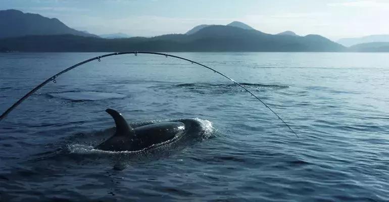 温哥华,超出你期待的钓鱼圣地