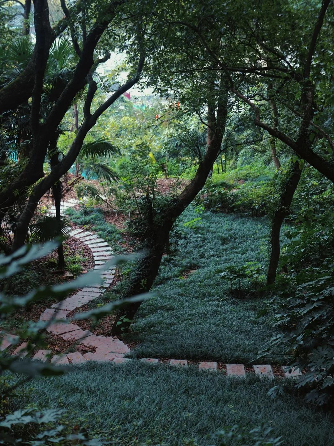秋天杭州冷门但好看的景点,杭州赏秋景最好的地方