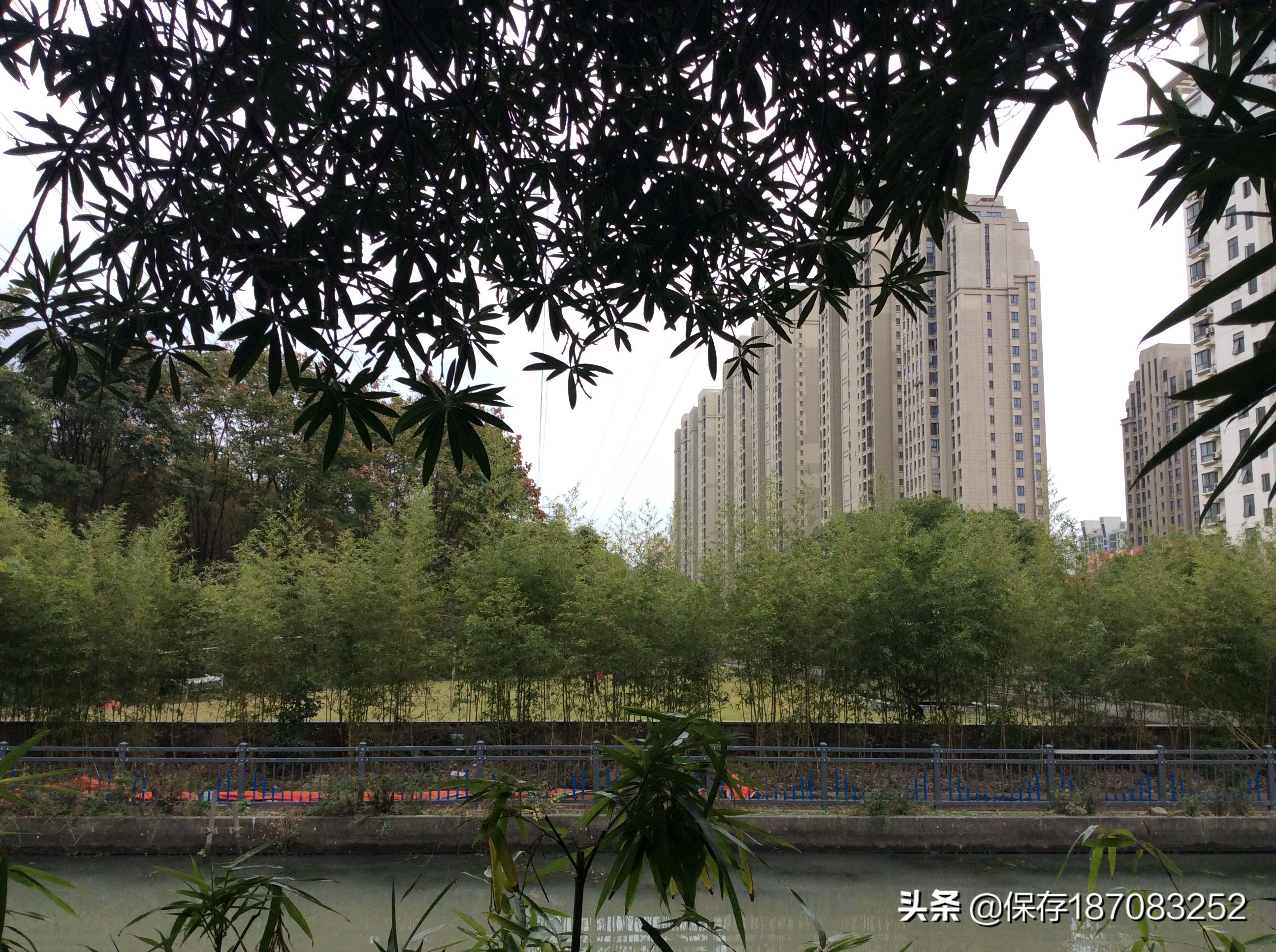 上海徐汇区公园名单,上海梦核公园