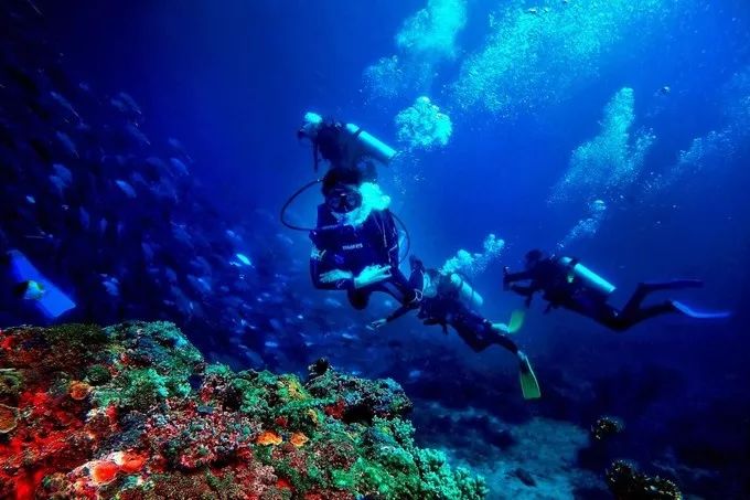 最美三亚自由行攻略,最美海岛三亚旅行