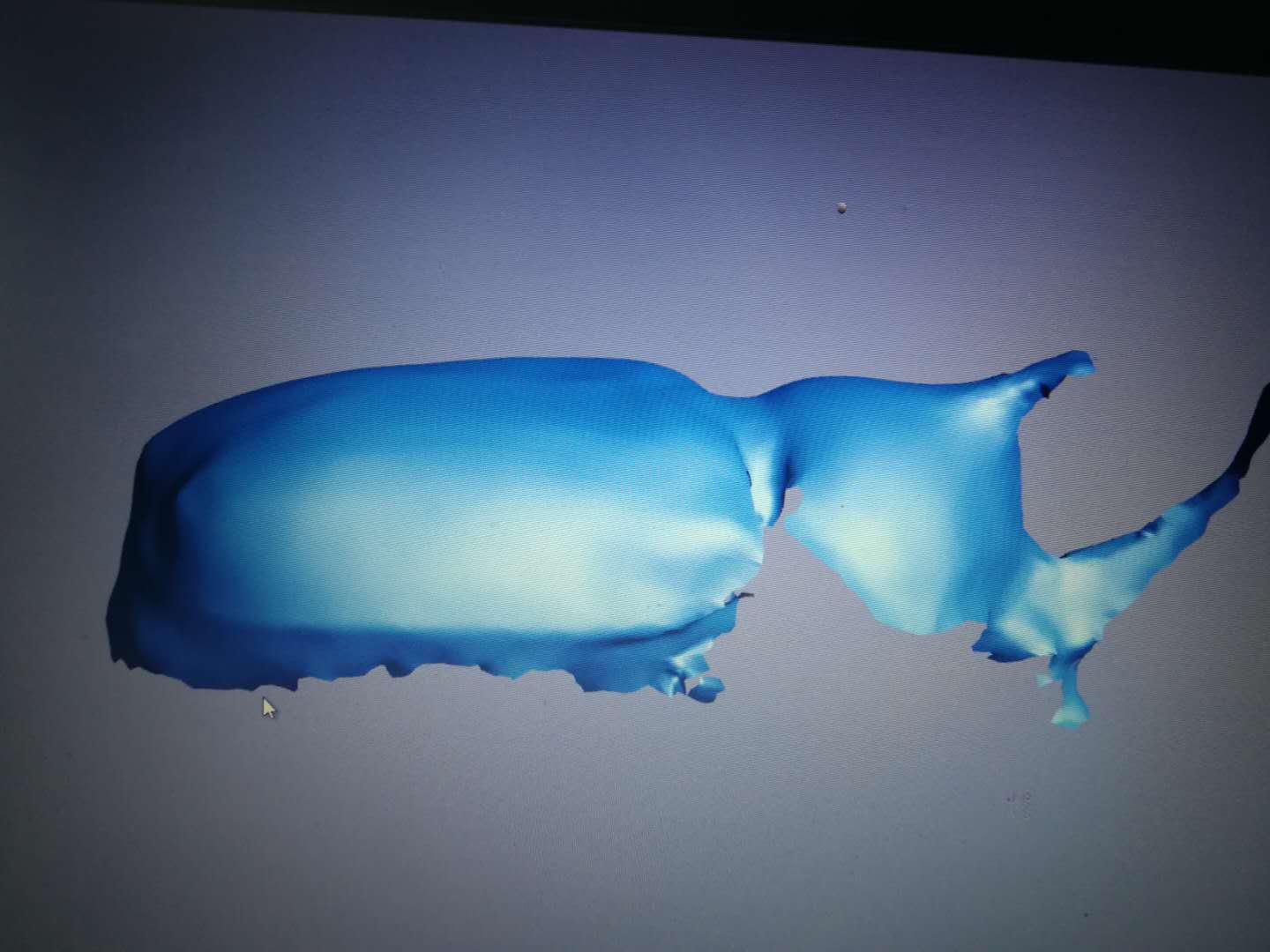 三维激光扫描仪测动物,手持式三维立体扫描仪