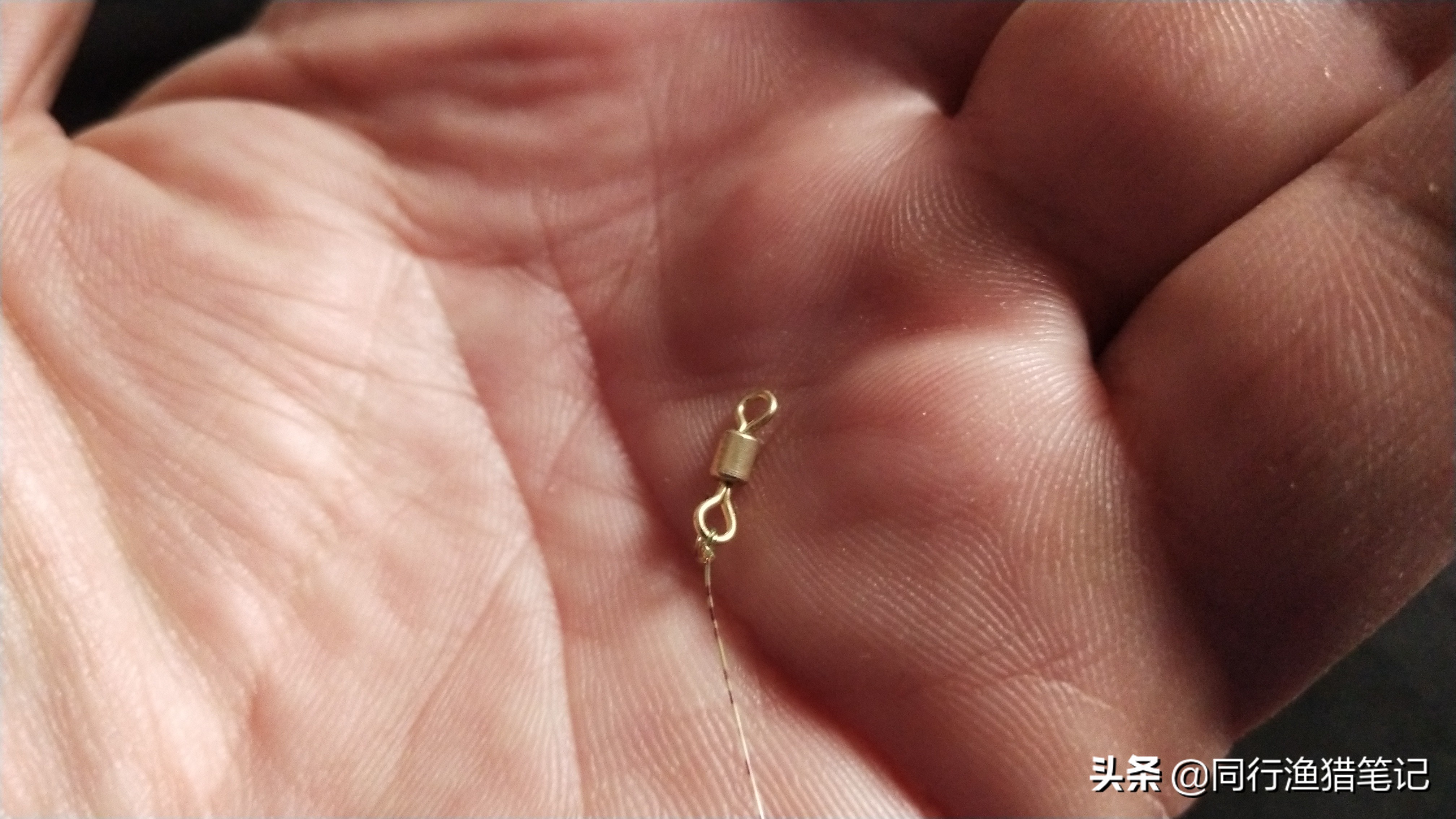 钓鱼鱼线全套绑法,鱼线全套绑法钓鱼视频