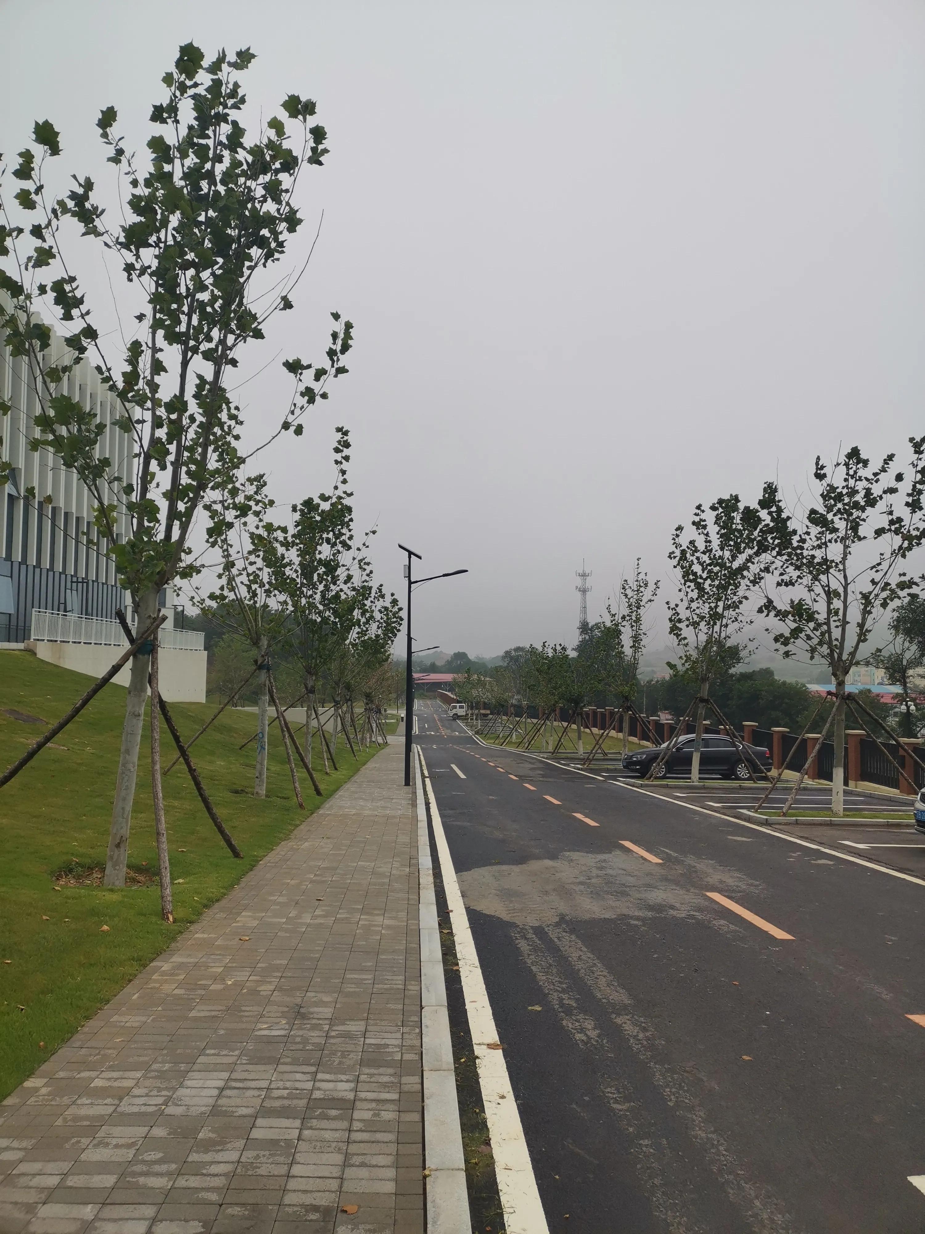 嘿别来无恙话本小说,嗨别来无恙