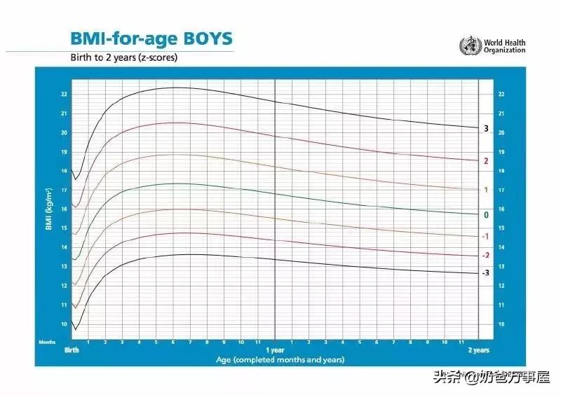 营养师防止婴儿肥胖,婴儿8个月偏瘦怎么吃