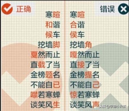 小升初总复习字词专项训练大全,小升初高频易错字归纳大全