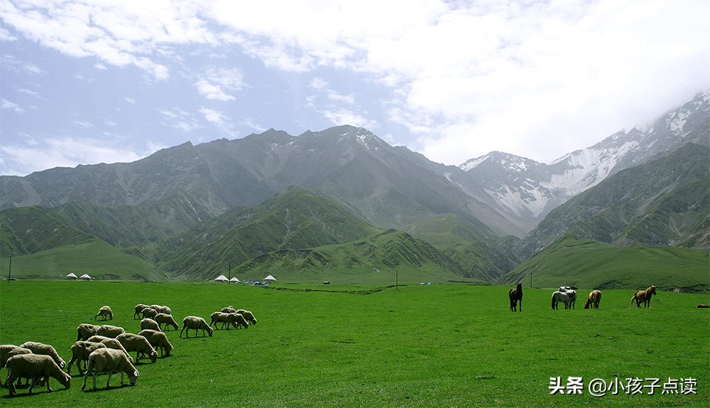 登广武古战场怀古翻译,登广武古战场怀古朗诵