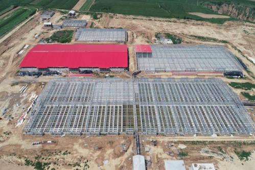 回报家乡：“首富儿媳”11亿陕西养猪