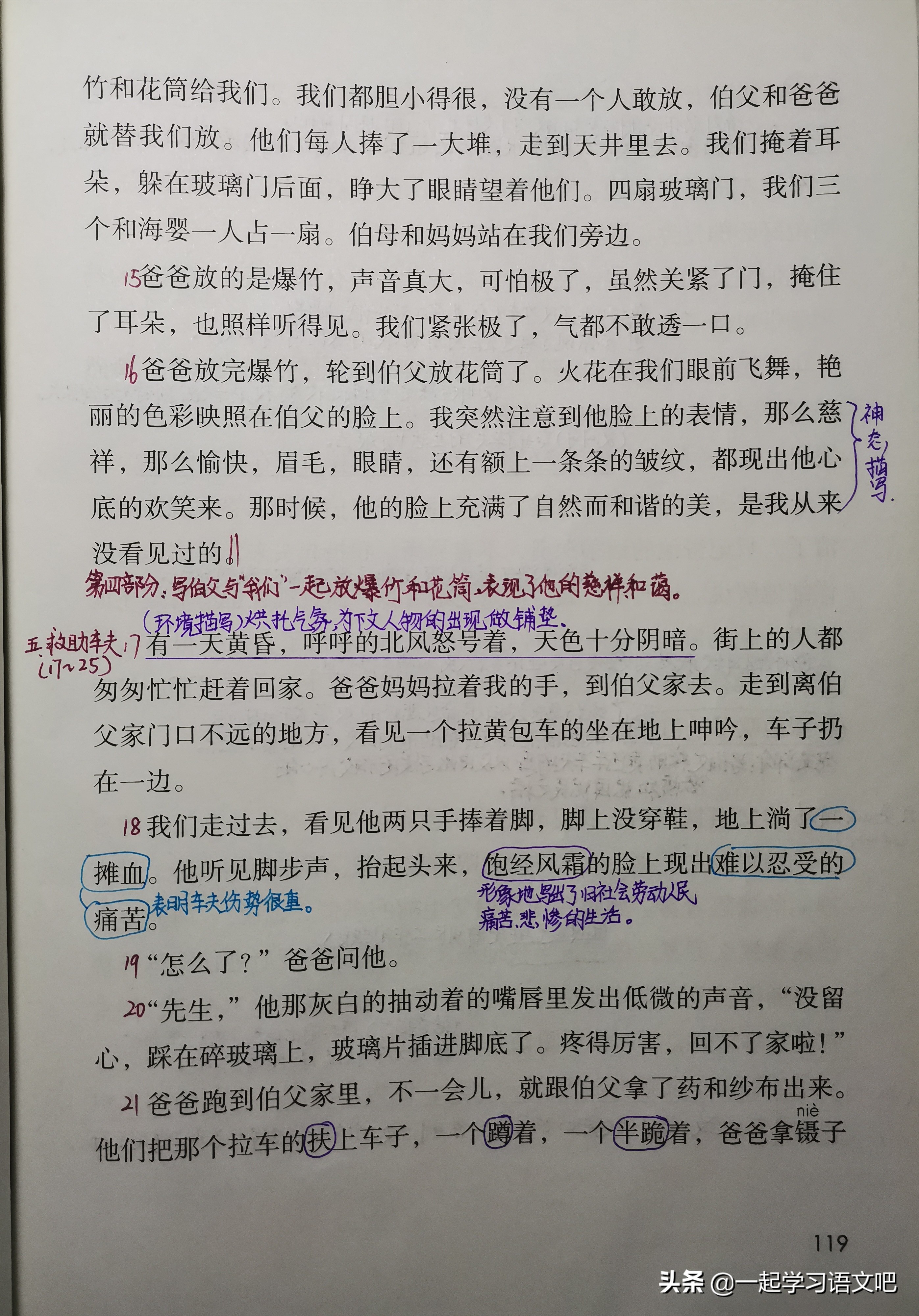 六年级我的伯父鲁迅先生预习笔记,语文六年级26课我的伯父鲁迅先生