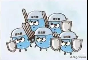 凝结芽孢杆菌的特点、作用机制及生物学功能