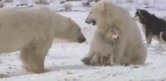 常见的20种网赚骗术揭秘,韭菜有效套路