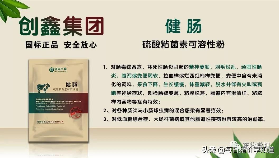 猪场流行拉稀病,冬天猪场全部拉稀呕吐怎么办