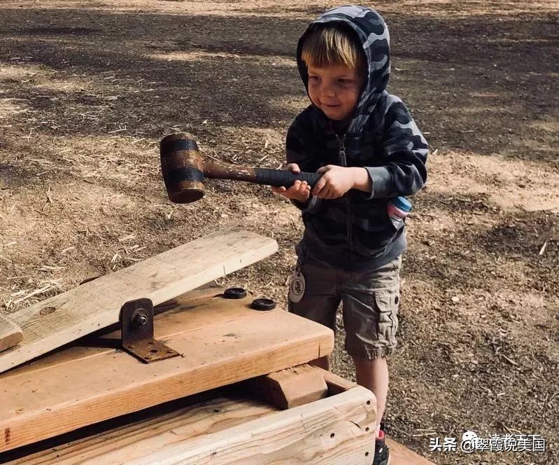 翠霞湖州,翠霞带你走进美国名校