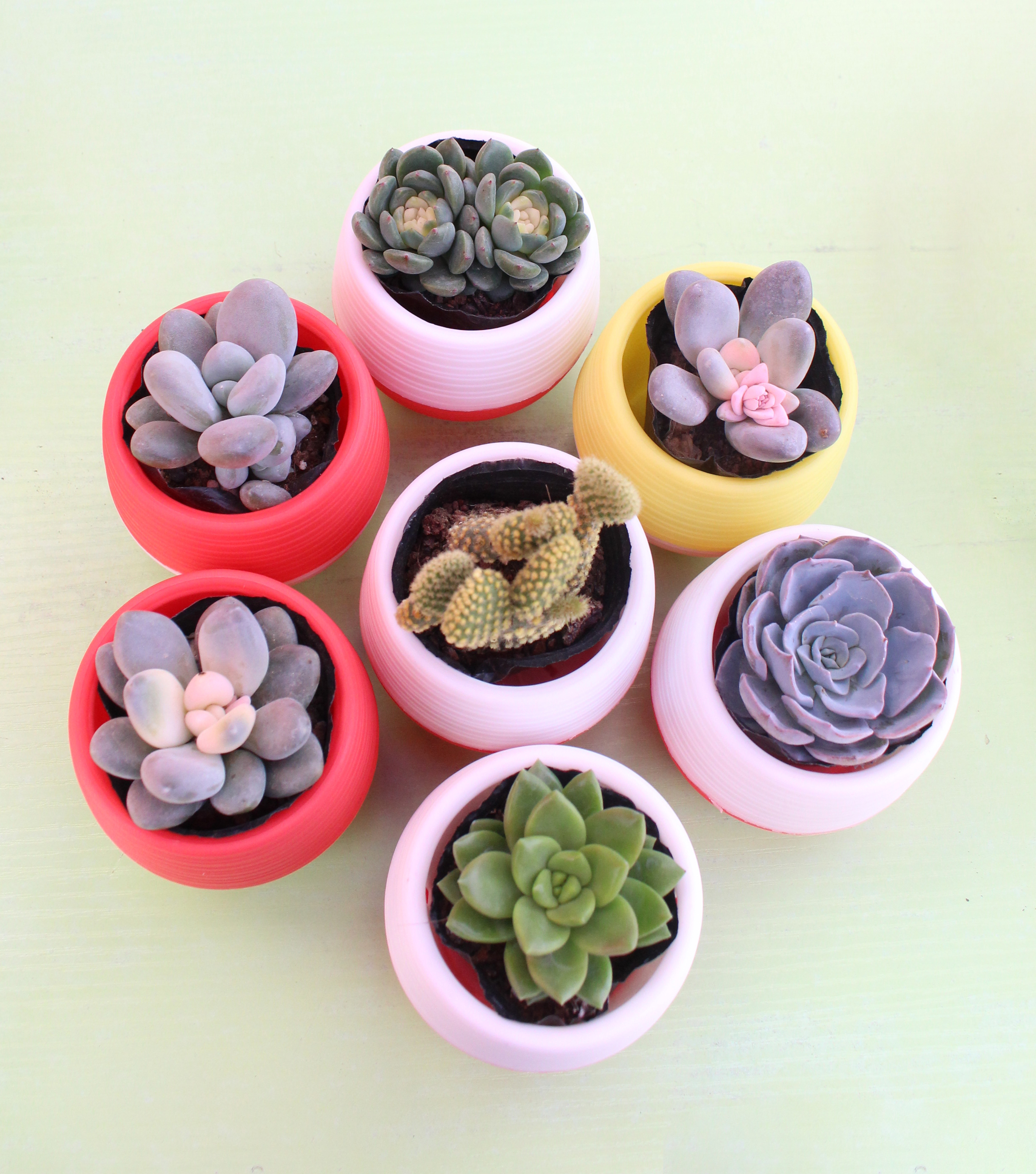 植树节，小贸商城让绿意“贸”出来