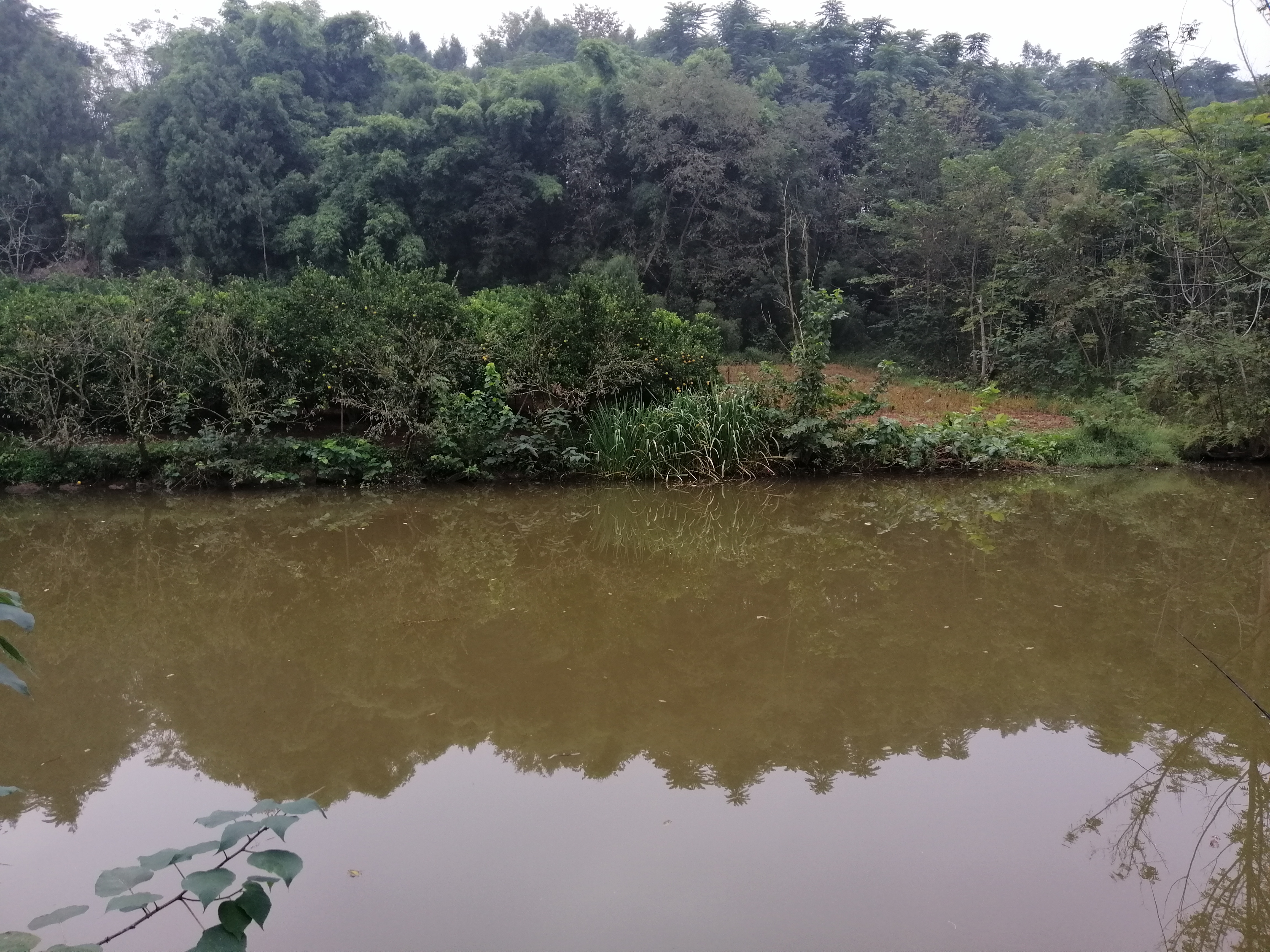 冬季小河沟野钓冰钓,春季小河钓鱼线组搭配