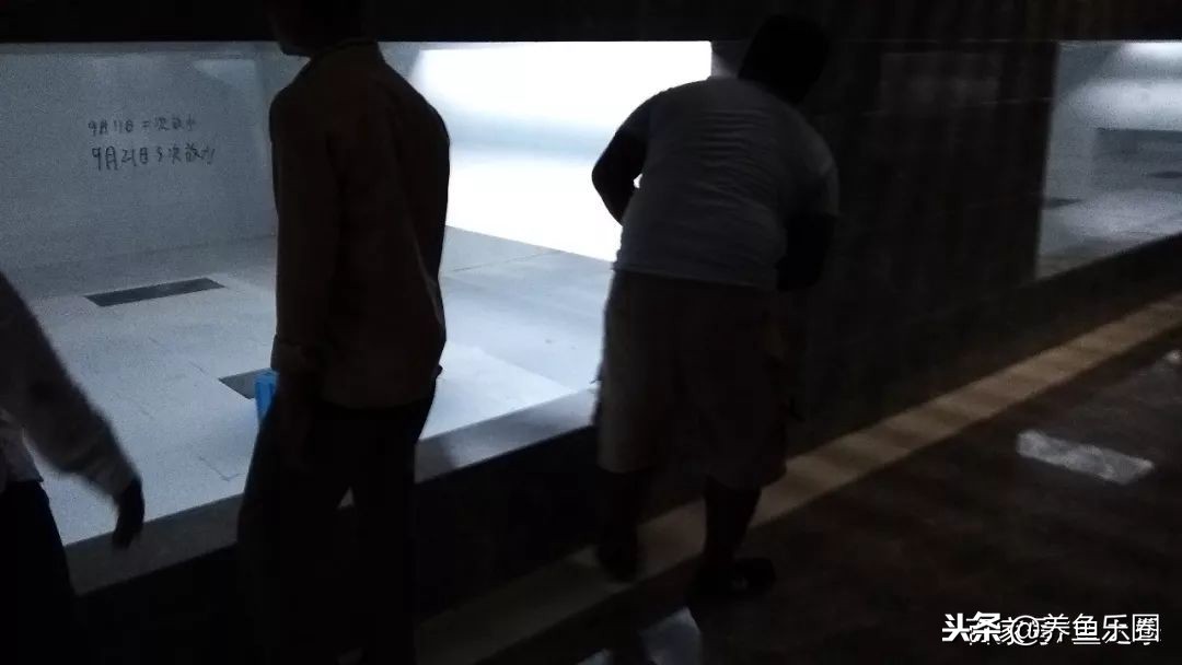 这位土豪家的渔场,光滤材就花了500多万,你确定不要见识一下?