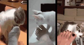 汗脚必入鞋袜除臭喷雾,除脚味鞋袜喷雾