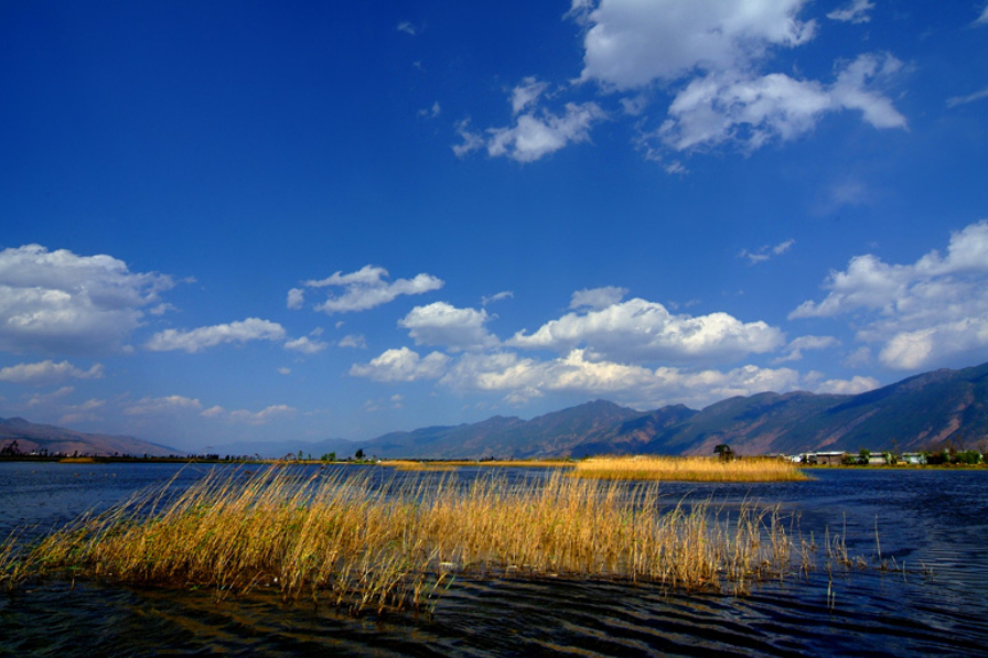 云南低价游导游威胁游客违法吗,低价旅行团旅游陷阱云南