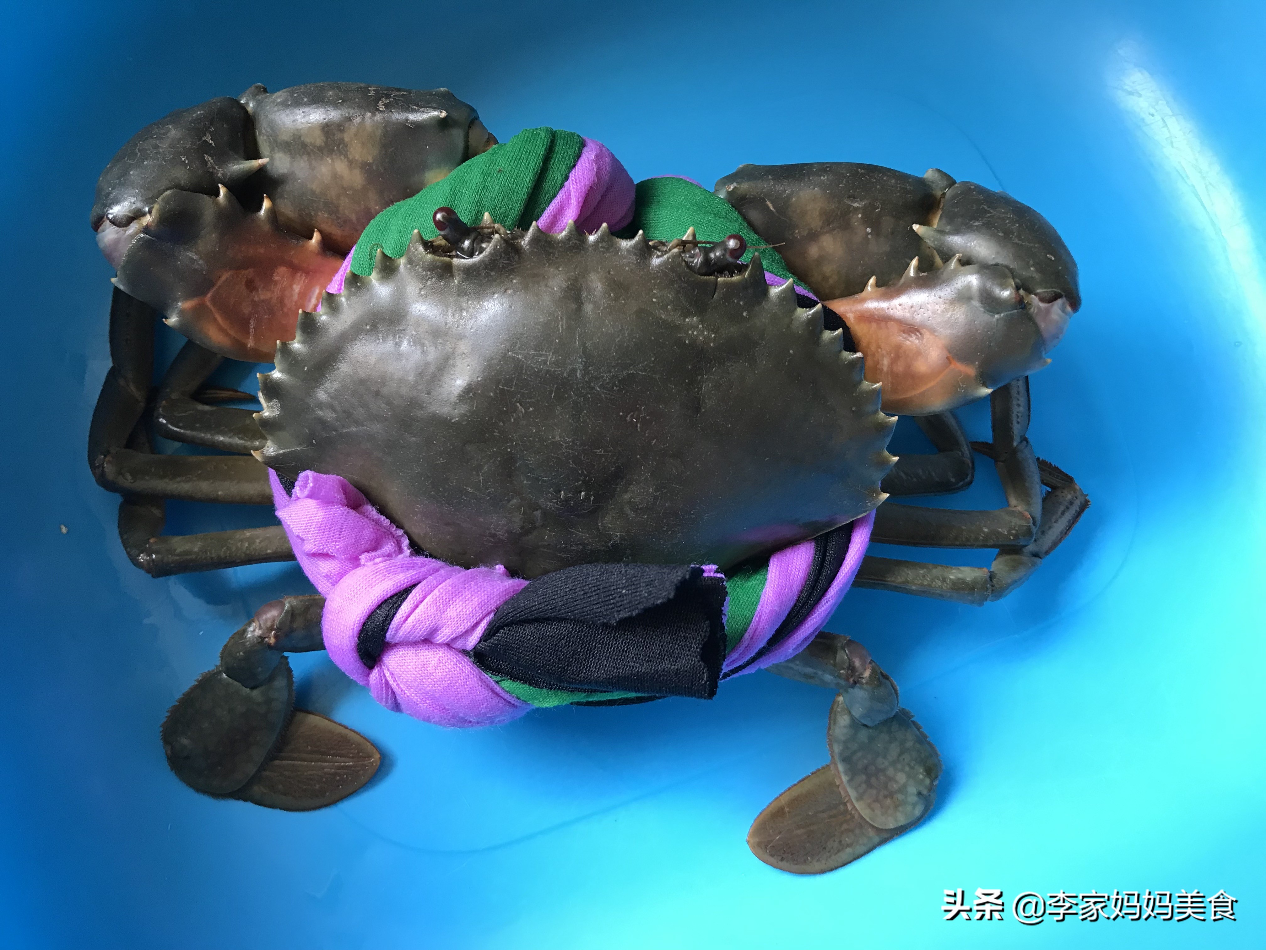 正宗舟山老渔民螃蟹做法,老蟹的做法大全视频