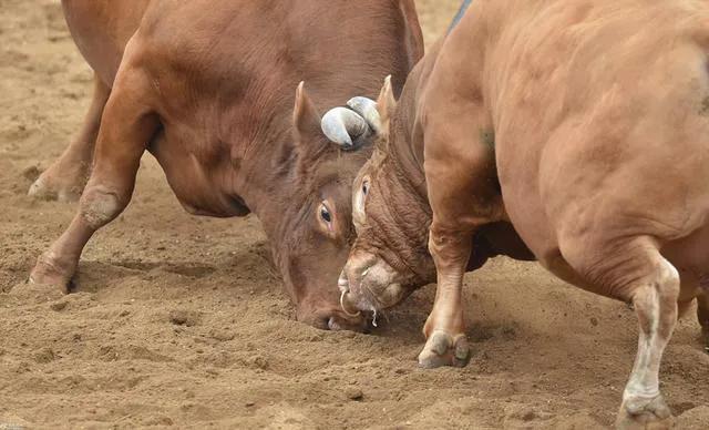 那些年足球名场面,那些年足坛名场面