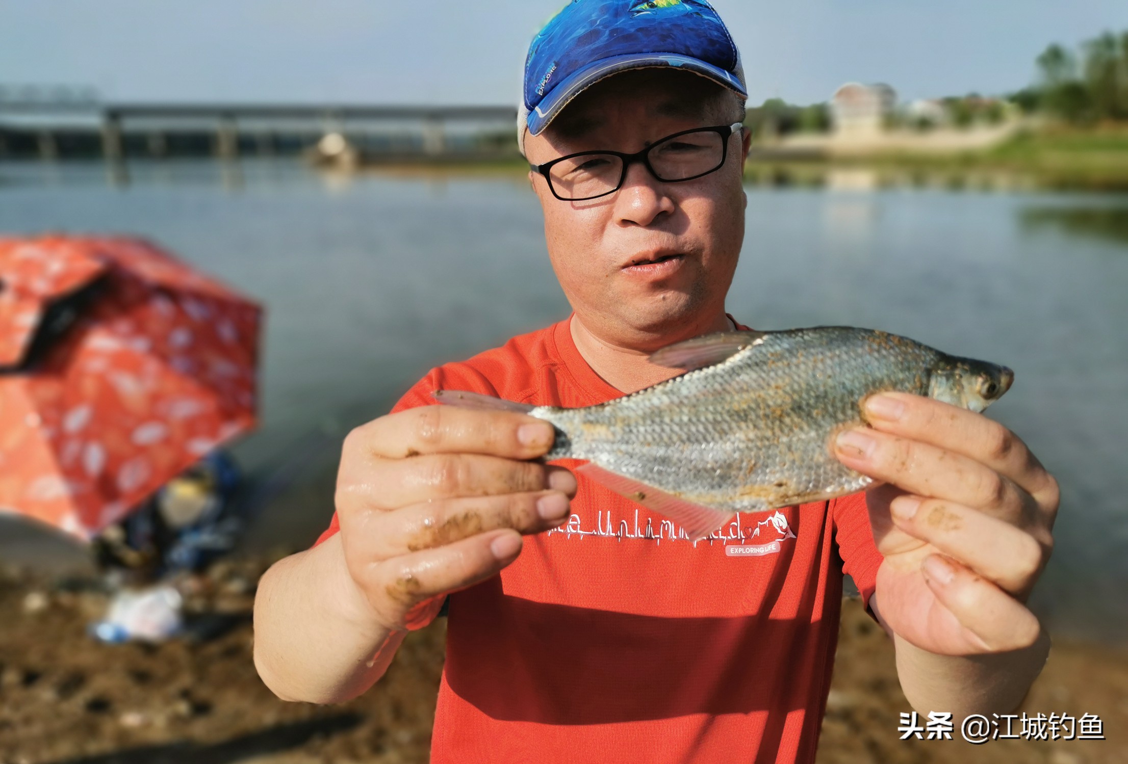 北方淡水鳊鱼怎么钓的,鳊鱼什么季节可以钓