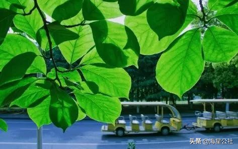 无锡十大免费公园排名榜最新,无锡晚上公园免费景点