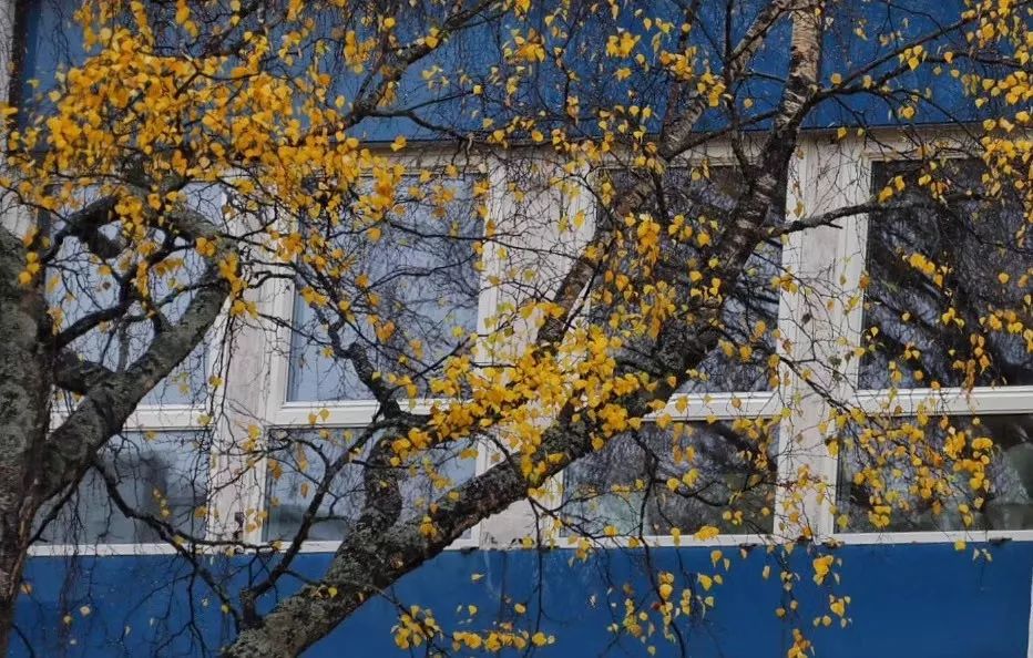 北纬66°34′流浪记——去世界尽头旅行是种什么体验?