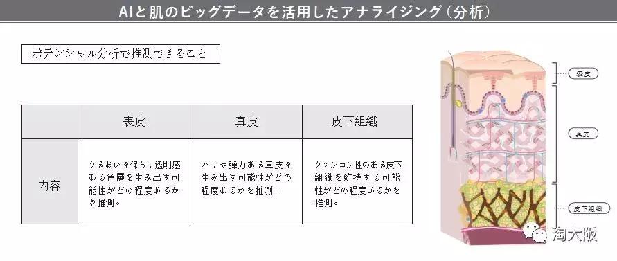 pola所有产品介绍,pola最高端系列