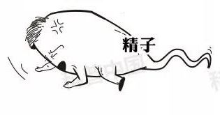 避孕药药理科普,医学科普避孕药的功能和原理