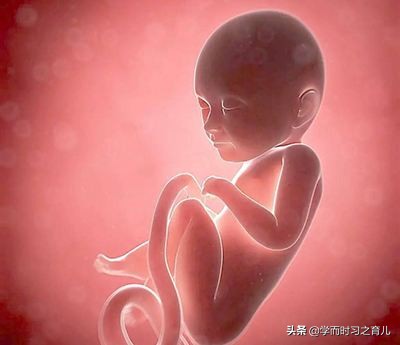 孕妇须知：脐带异常的5种情况和危险，准妈妈做好这些，别慌张