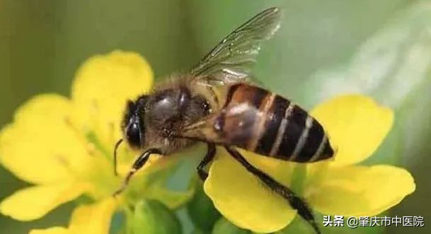 备孕妈妈看过来！想“一击即中”？超声排卵监测的方法了解一下