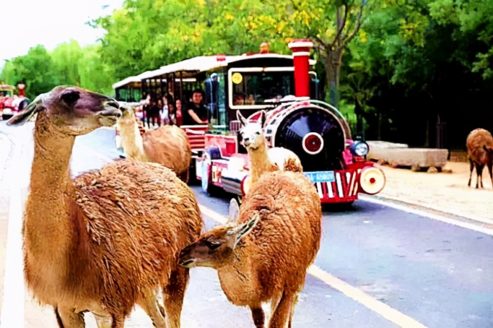 济南市15家室外a级旅游景区,济南市华山旅游景区