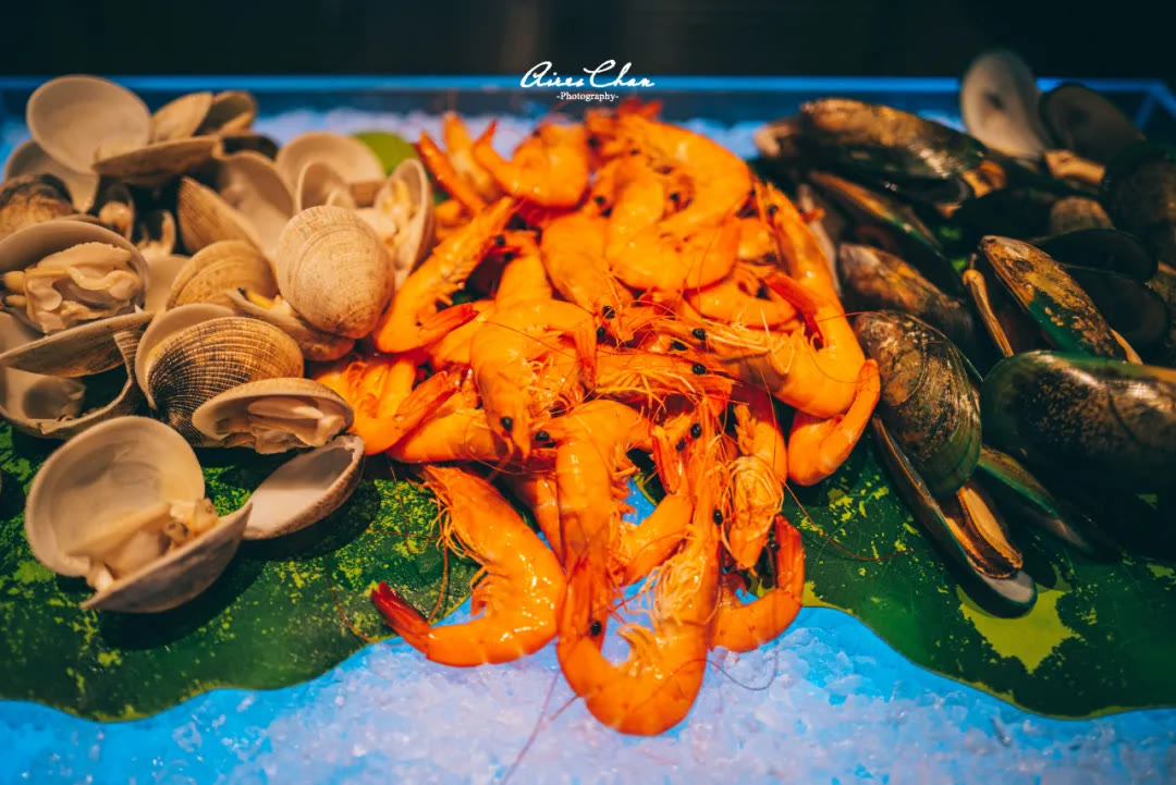 闀挎矙鍚涙偊閰掑簵鑼堕鎮﹁壊 (闀挎矙鍚涙偊鑼堕鎮﹁壊鍏嶈垂)