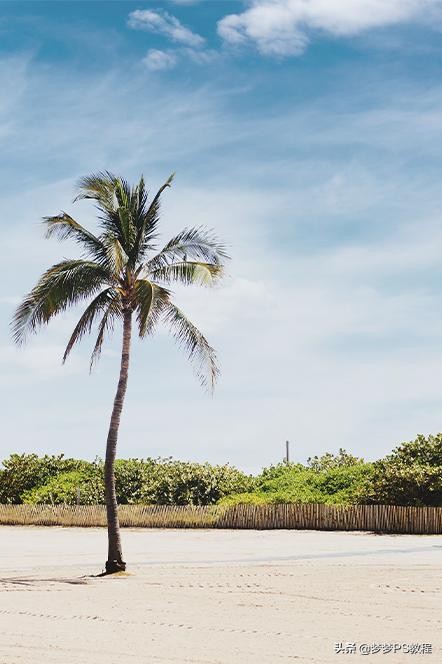 ps怎么加天空背景最自然,ps银杏树背景换天空怎么调