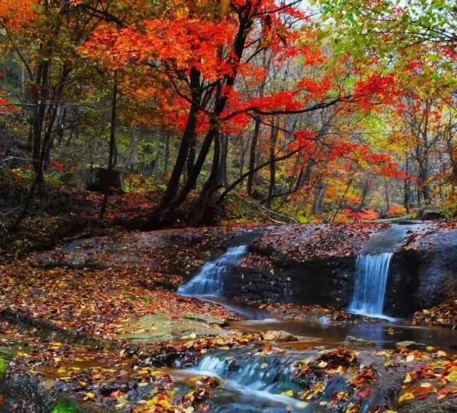 沈阳游玩景点攻略,沈阳游玩景点推荐泡温泉