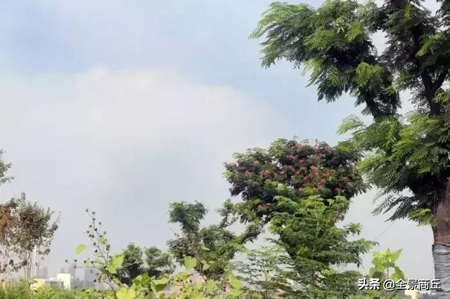 三条河交汇的地方,三条河流交汇处