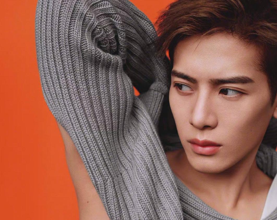 王博文王嘉尔,王嘉尔能文能武