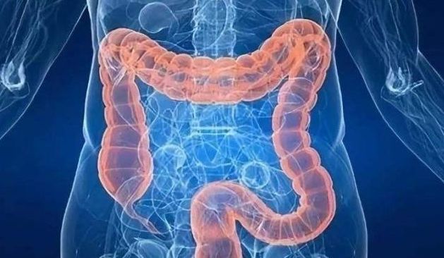 荷叶茶能清热去火吗,夏秋季喝荷叶茶的好处有哪些