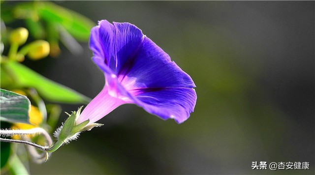 婴儿湿疹看了好多医生都治不好,婴儿得了湿疹拿什么治