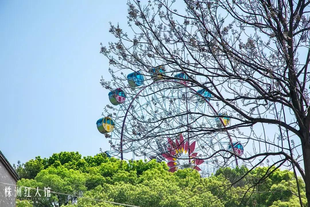 株洲神农公园老照片,株洲市神农公园
