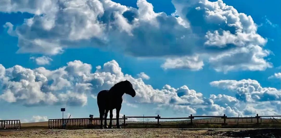 crv试驾17.98万是哪一款,crv试驾视频16款