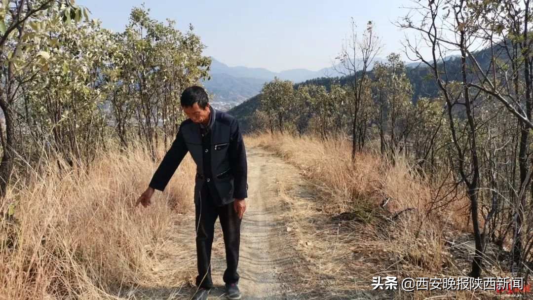 村民自费修山路被罚四万元,村民自费修山路被罚4万后续结果