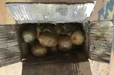 拼多多买水果攻略,拼多多买水果平台