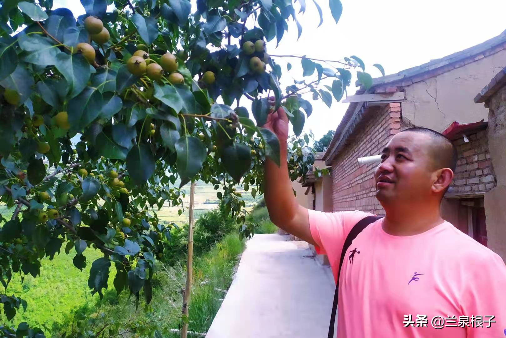 兰州南部大山深处山脊线上的美丽原野乡村沟对巴