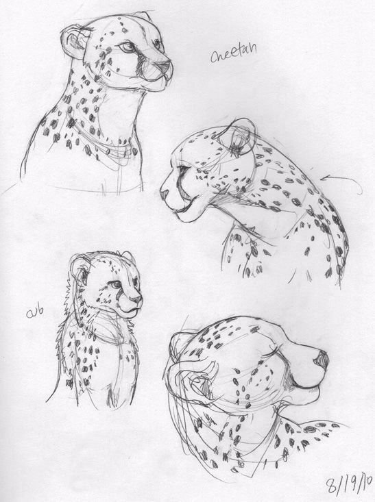 简笔画人物教程大全零基础成人,1000个适合零基础的简笔画教程