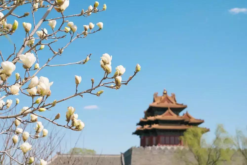 同一个微信群怎样和另一个人通话,同在一个群里的人怎样聊天