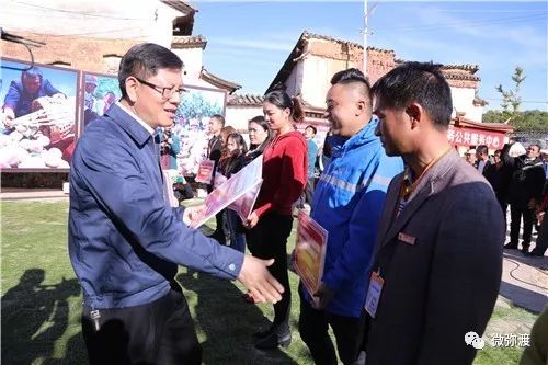 冬桃挑起农特“群英汇”，雾本丰收季电商很给力