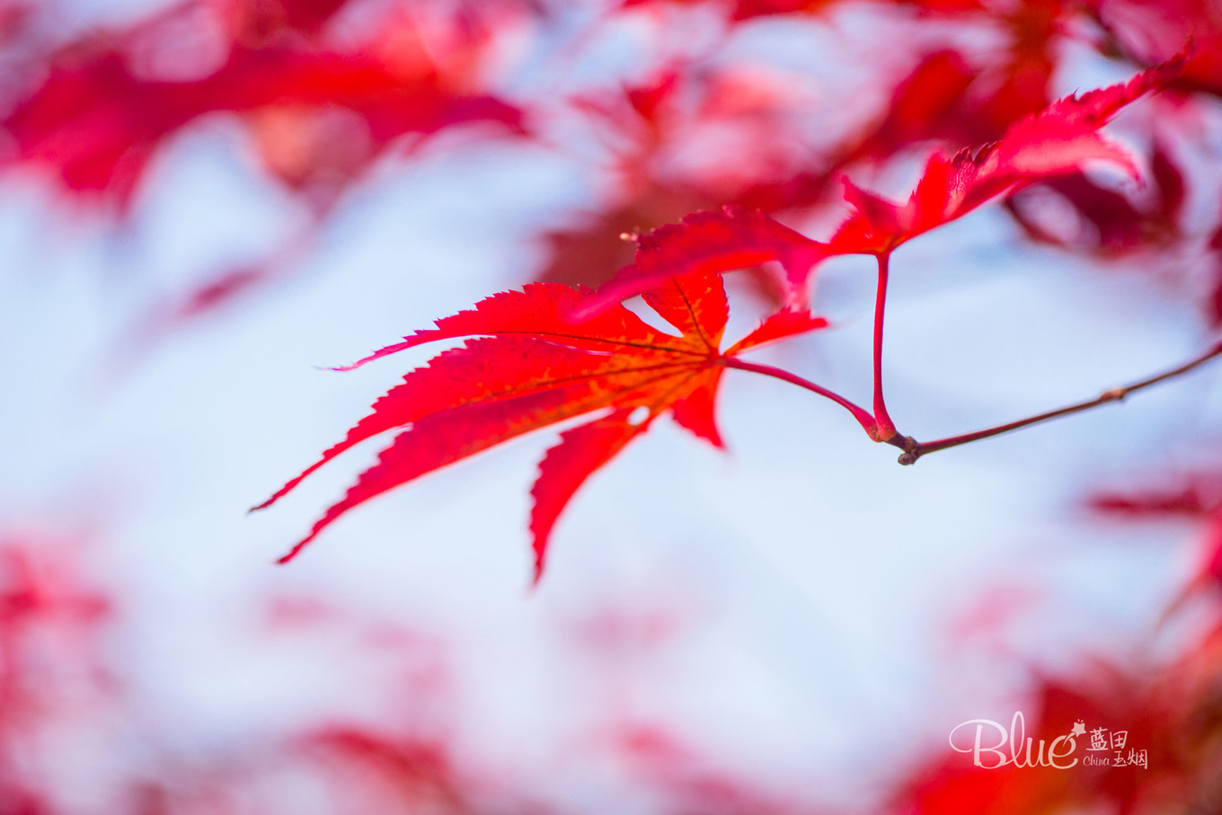 最有灵性的古佛寺,国内最美佛寺排行榜前十